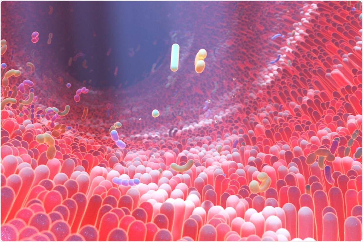 Study: Gut microbiota alterations in patients with persistent respiratory dysfunction three months after severe COVID-19. Image Credit: Alpha Tauri 3D Graphics / Shutterstock