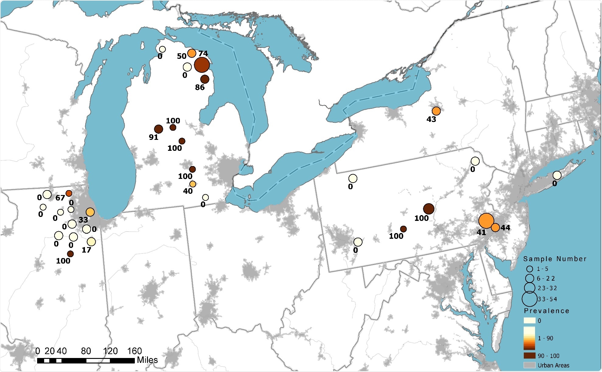SARS-CoV-2 antibody detection in white-tailed deer sampled in 2021 in the United States. Circle size indicates the relative number of samples tested. Color represents the relative seroprevalence, and numbers are the specific prevalence in a county.