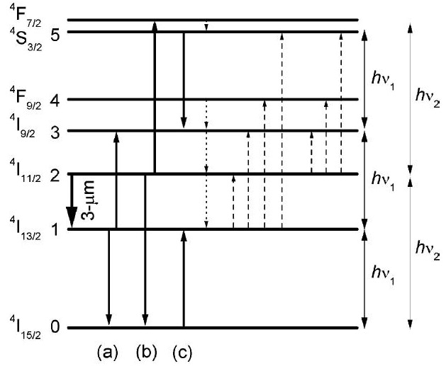A simplified energy level diagram for Er:YAG showing the pump absorption and laser transitions. Cooperative upconversion between pairs of Er3+ ions provides greater than unity quantum efficiency and overcomes bottlenecking in the 4I13/2 lower laser level. This diagram was reproduced from Georgescu and Toma [4].