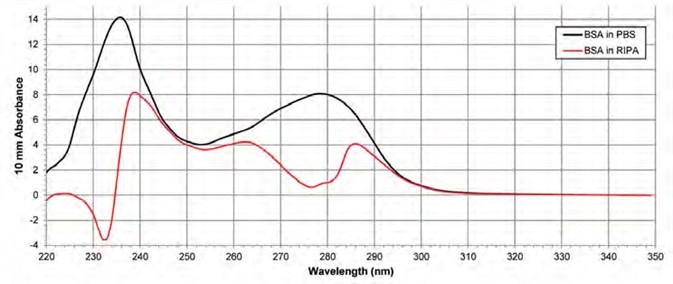Absorbance spectra of BSA suspended in PBS and RIPA. The black spectrum shows a pure BSA sample in PBS after blanking with PBS. The red spectrum shows a pure BSA sample in RIPA after blanking the instrument with RIPA.