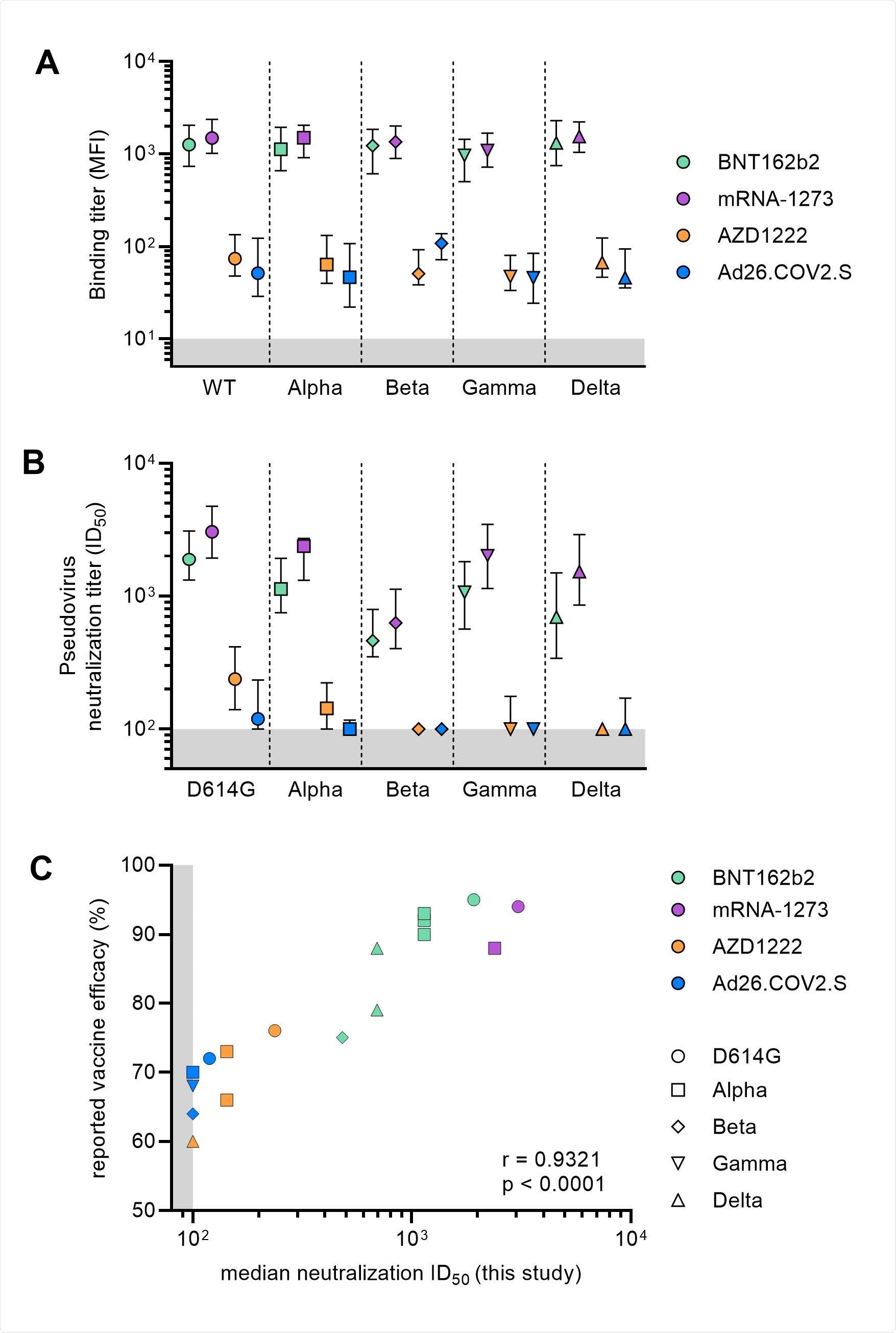 Binding and neutralization titers post-vaccination against VOCs. (A) Median with interquartile range of binding titers to wild-type and VOCs S proteins represented as mean fluorescence intensity (MFI) of 1:100,000 diluted sera collected four-five weeks after full vaccination for the four vaccination groups. The lower cutoff for binding was set at an MFI of 10 (grey shading). Vaccine groups are indicated by colors with BNT162b2 in green, mRNA-1273 in purple, AZD1222 in orange and Ad26.COV2.S in blue. (B) Median with interquartile range of half-maximal neutralization (ID50) titers of D614G and VOCs pseudoviruses for sera collected after full vaccination for the four vaccination groups. The lower cutoff for neutralization was set at an ID50 of 100 (grey shading). Vaccine groups are indicated by colors with BNT162b2 in green, mRNA-1273 in purple, AZD1222 in orange and Ad26.COV2.S in blue. (C) Median ID50 neutralization of D614G and VOCs plotted against the reported vaccine efficacy against symptomatic infection. Vaccine groups are indicated by colors with BNT162b2 in green, mRNA-1273 in purple, AZD1222 in orange and Ad26.COV2.S in blue. Circles represent WT data, squares for Alpha, diamond for Beta, nabla triangle for Gamma and delta triangle for Delta. Spearman