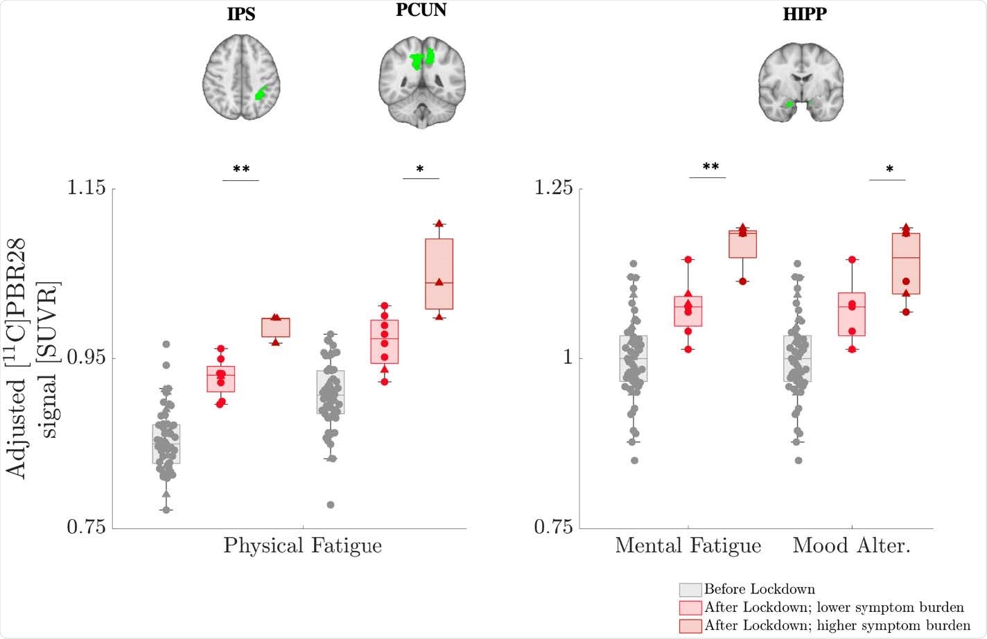 Post-lockdown [11C]PBR28 PET signal elevations are proportional to symptom burden. Post-lockdown [11C]PBR28 signal shows elevations in the IPS, PCUN and HIPP for those individuals who showed higher symptom burden (physical fatigue, mental fatigue and/or mood alterations). Pre-lockdown data are also displayed as reference, for visualization purposes only. Data are adjusted for TSPO genotype. Error bars denote 25th to 75th inter-quartile range, and the horizontal line represents the median. Triangles denote data from Scanner 1 and circles denote data from Scanner 2. *=p < 0.05, corrected; **= p < 0.01, corrected. Abbreviations: Mood Alter. = Mood Alterations. See Figure 2 caption for abbreviations.