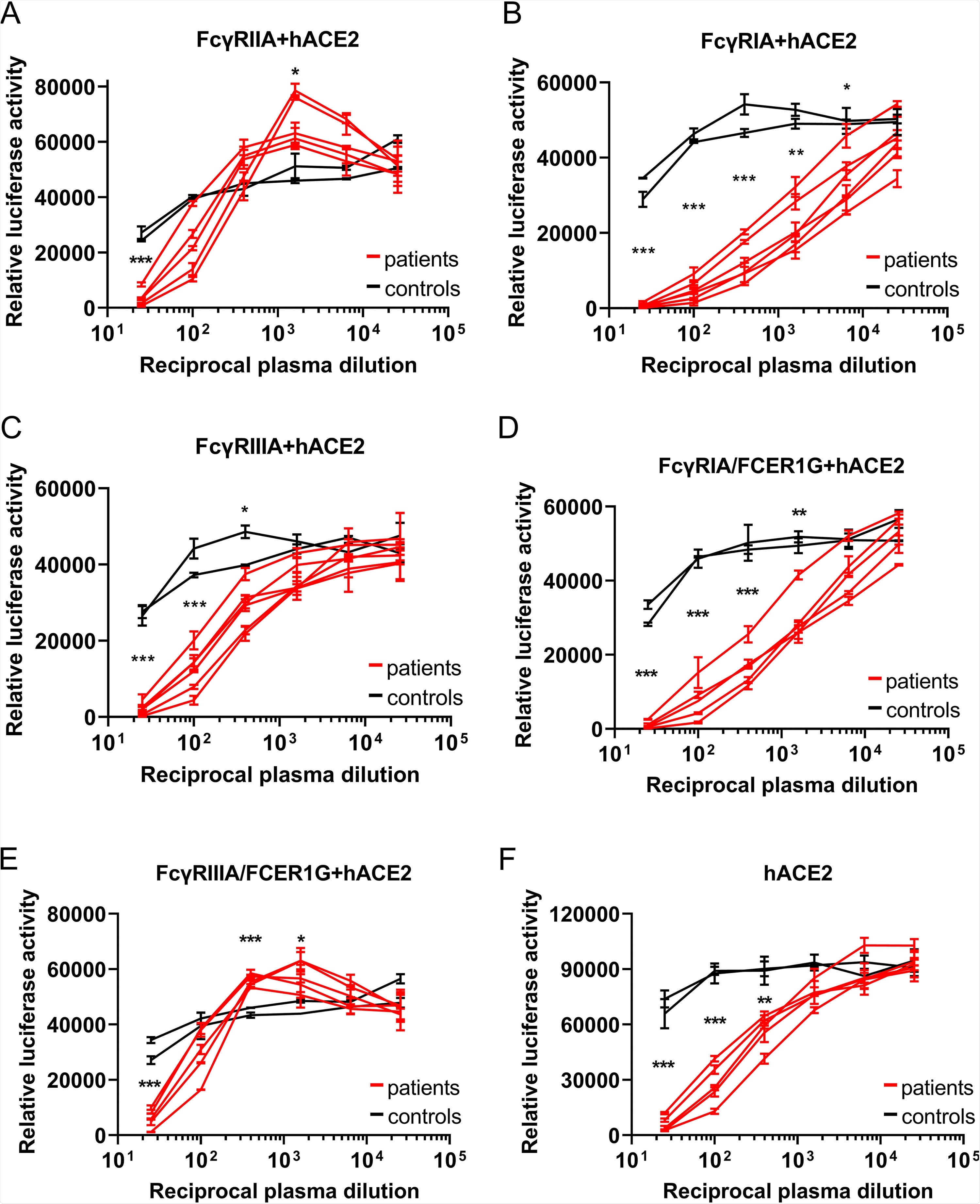 ADE of SARS-CoV-2 infection is mainly mediated by FcγRIIA and FcγRIIIA. (A to E) Serially diluted convalescent-phase plasma from five individuals and two control plasma samples incubated with VSV-SARS2-S were used to infect the indicated cells that had been transfected with an hACE2 expression vector; the luciferase activity in the cell lysates was determined at 24 hpi. The experiment was performed with duplicate samples; means and standard deviations (SD) are shown. (F) Serially diluted convalescent-phase plasma from two individuals and two control plasma samples incubated with VSV-SARS2-S were used to infect the indicated cells, and the luciferase activity in the cell lysates was determined at 24 hpi. The experiments were performed in duplicate; means and SD are shown. Statistical analysis was performed using an unpaired t test. ***, P < 0.001; **, P < 0.01; *, P < 0.05.