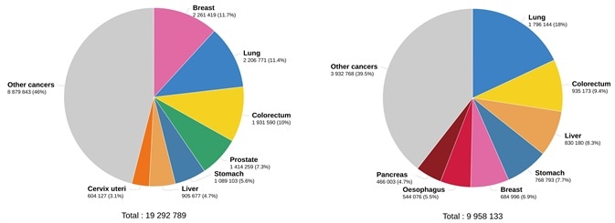 Estimated number of new cases in 2020. worldwide, both sexes, all ages (left), and estimated number of deaths in 2020. worldwide, both sexes, all ages (right). (Data source: GLOBCAN 2020, Graph production: Global Cancer Observatory (http://gco.iarc.fr/))