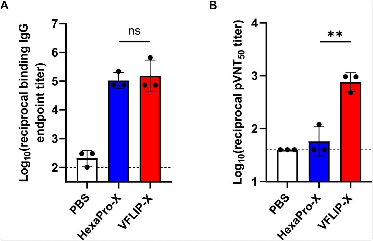 Mice immunized with VFLIP-X full length spike produce neutralizing antibody against B.1.1.529. BALB/c mice (n=3) were immunized at weeks 0 and 3 with 5 μg of circRNA-LNP encoding HexaPro-X (blue) or VFLIP-X (red). Control mice were administered with PBS (white). (A) IgG levels of two weeks post-boost sera were assessed by enzyme-linked immunosorbent assay (ELISA) using recombinant Omicron (B.1.1.529) spike protein. (B) Neutralization activity of two weeks post-boost sera were determined using B.1.1.529 pseudotyped virus. Data are presented as GMT ± geometric SD. Horizontal dotted lines represent assay limits of detection. Immunized groups were compared by student’s t-test (parametric, two-tailed unpaired). ** p < 0.01.