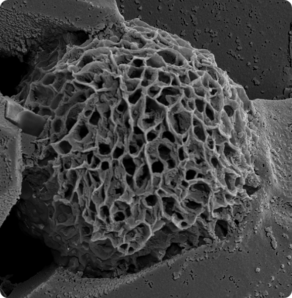 RNA triplex nanoparticle