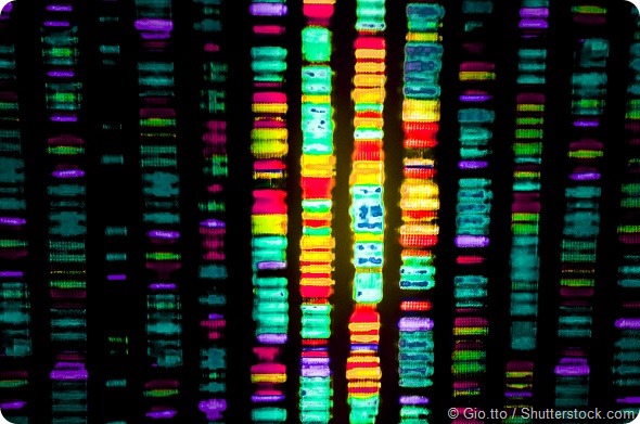 DNA sequence
