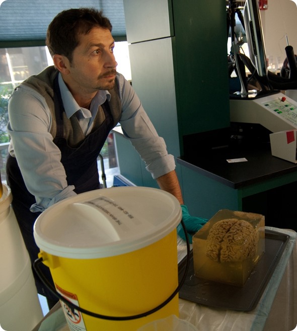 Dr Annese during the preparations for cutting