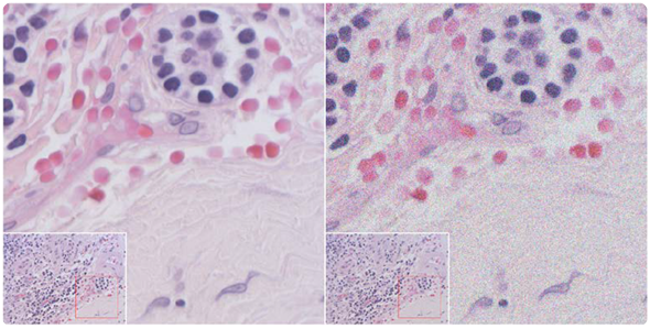 Comparison of an image with a normal amount of noise (left) vs. an image with a lot of simulated noise (right). Both taken with the INFINITY1-3C.