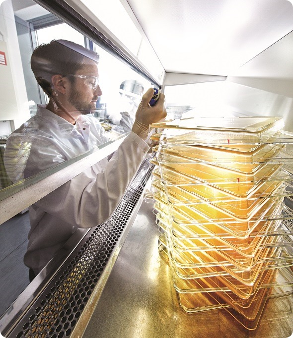 antibody-based active ingredients are manufactured in conditions of absolute cleanliness.