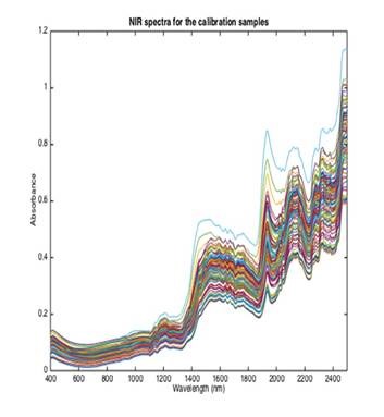 NIR spectra acquired for calibration samples.