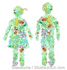 microbiome illustration