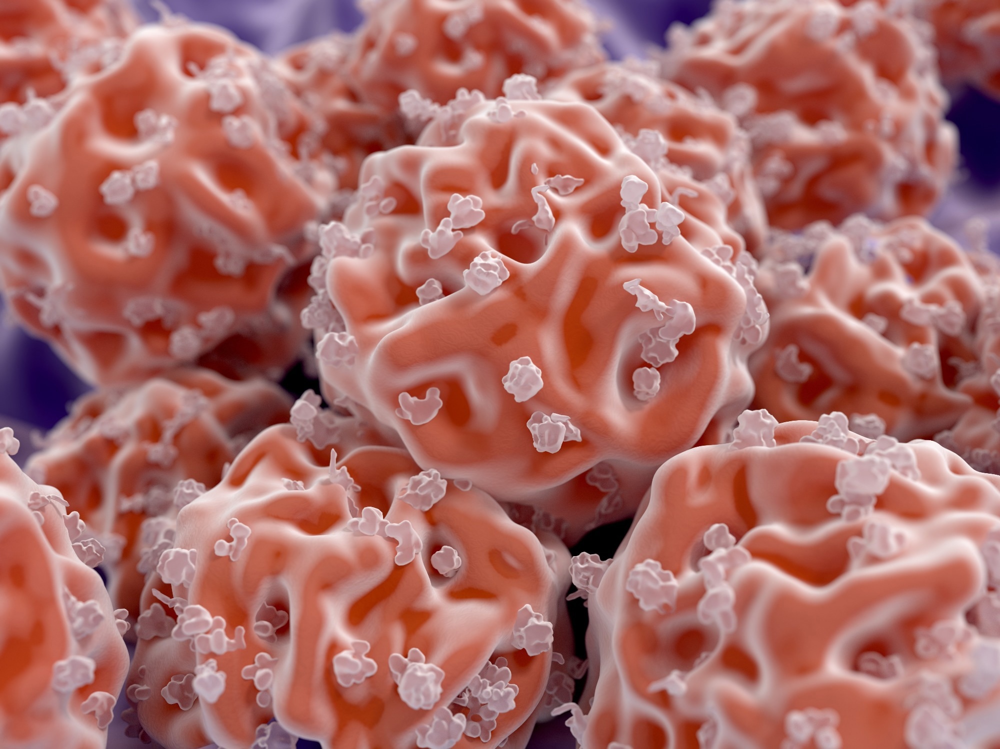 Image Credit: Juan Gaertner/Shutterstock