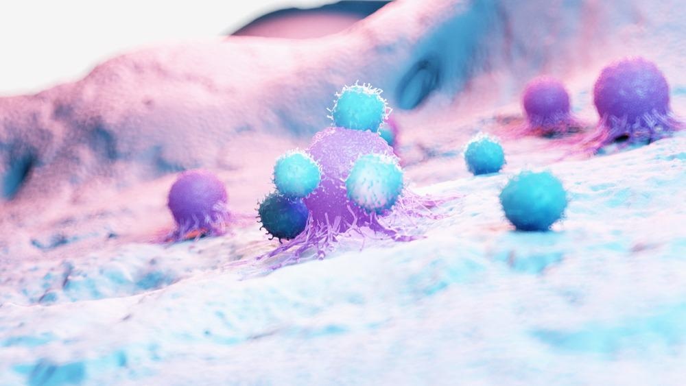 Immune Cells