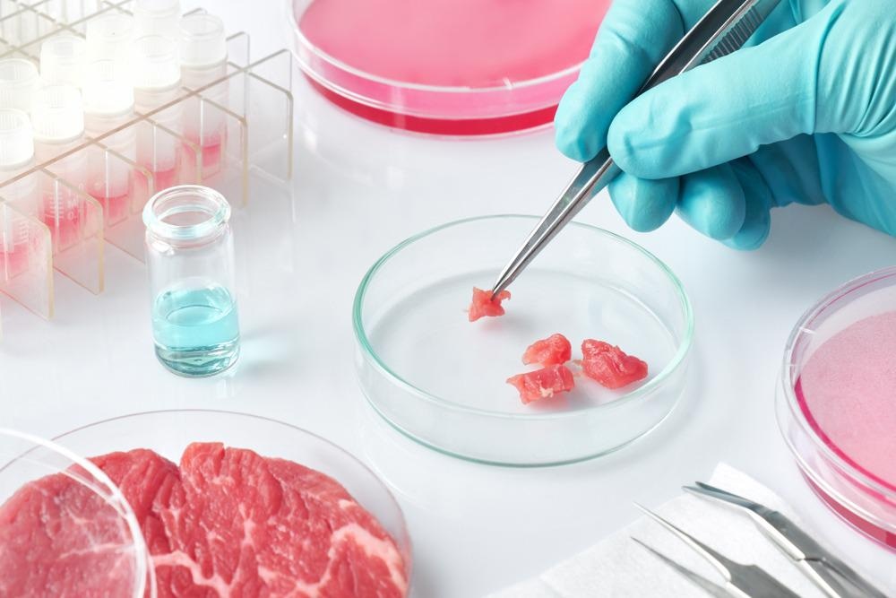 Lab-grown meat
