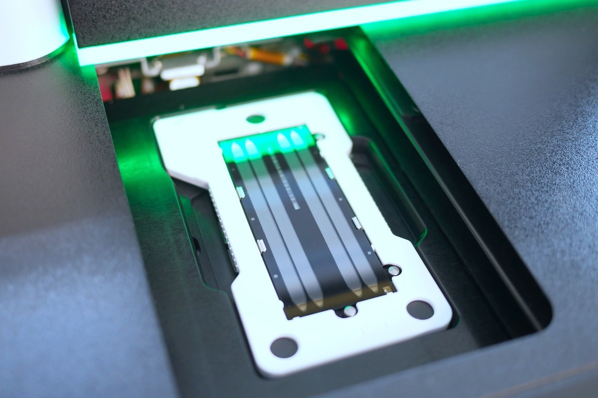 Image Credit: Elpisterra/Shutterstock.com