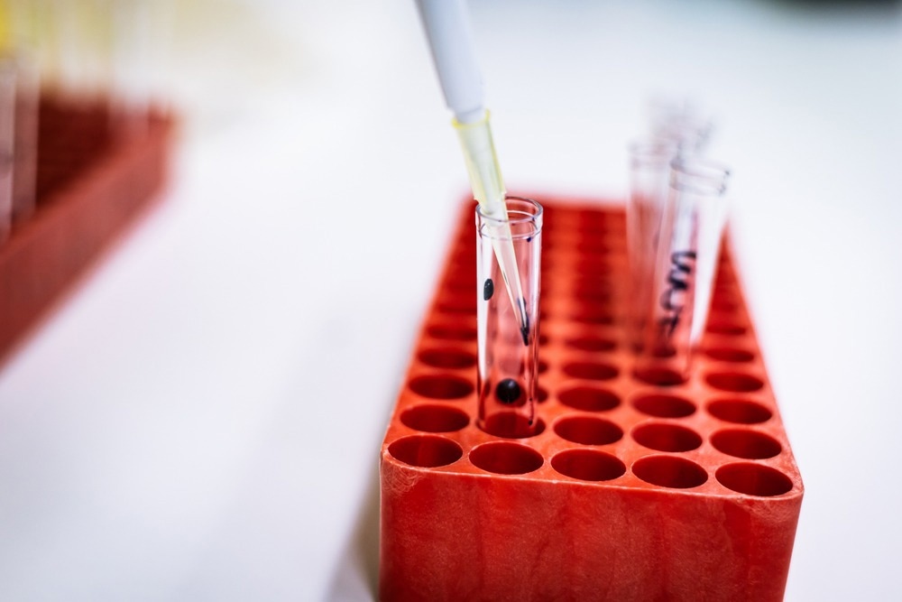 Image Credit: mh_enders/Shutterstock