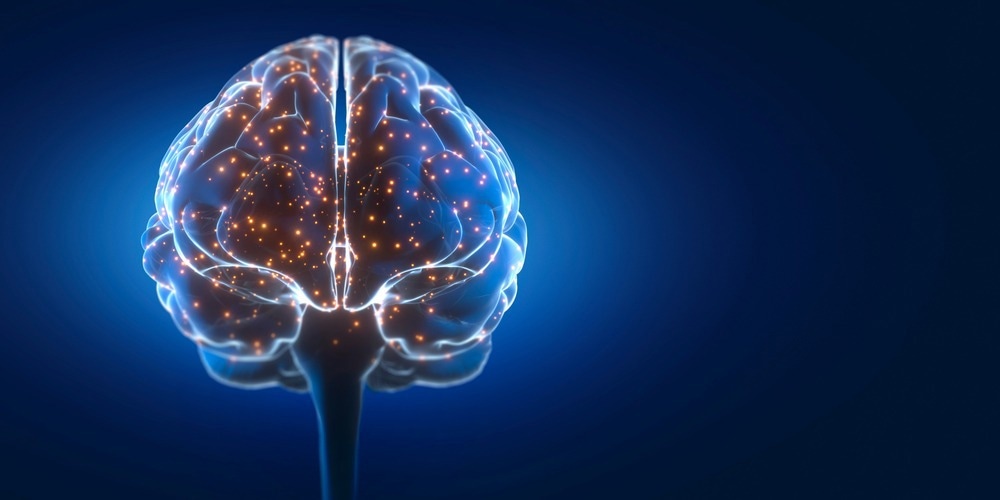 Image Credit: peterschreiber.media/Shutterstock.com