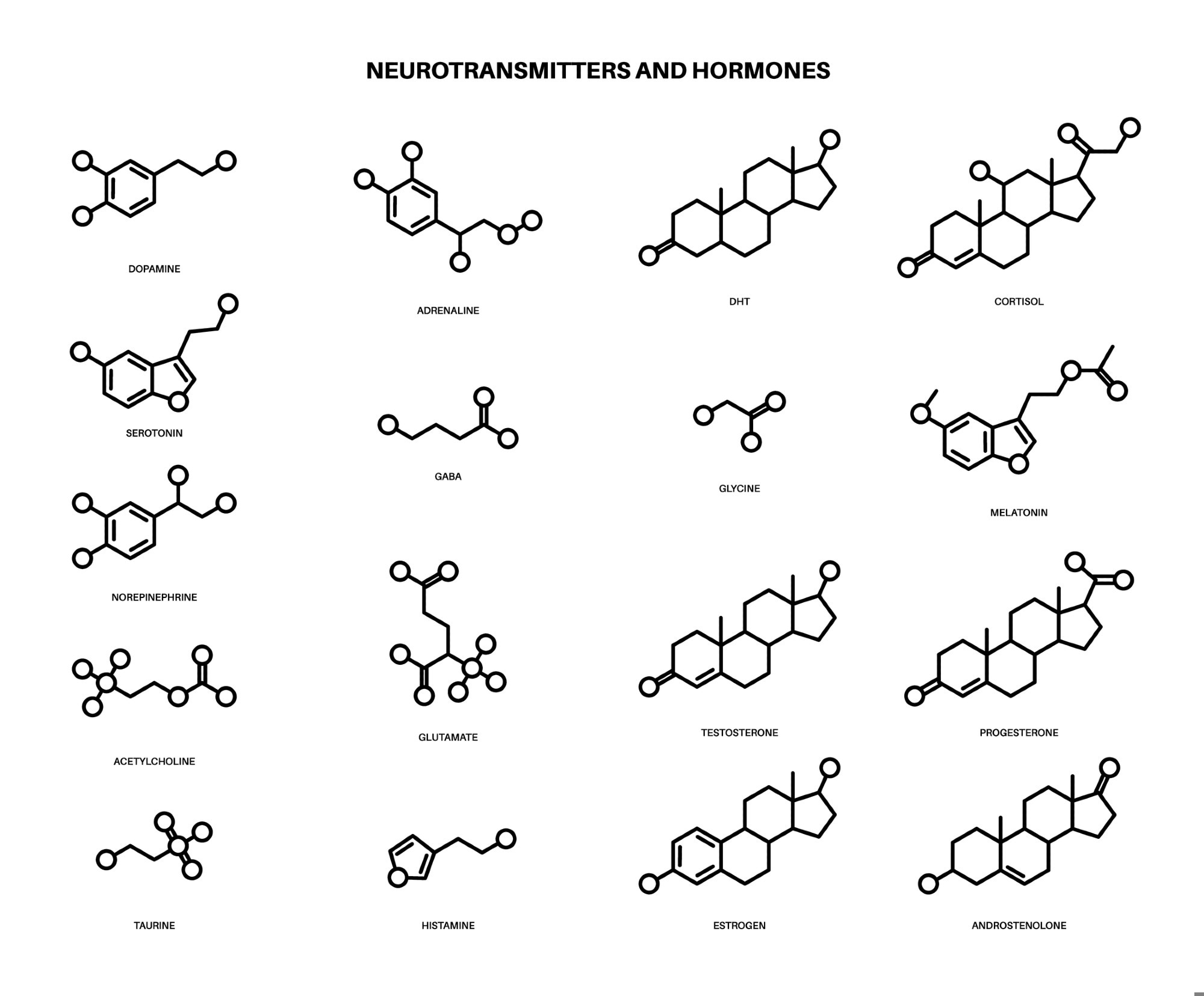 Set of chemical formulas of hormones and neurotransmitters in brain. Image Credit: Pikovit/Shutterstock.com