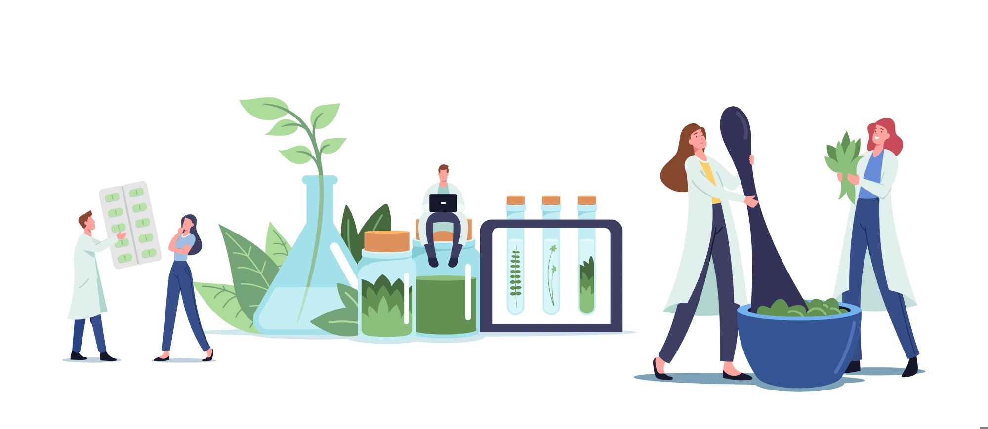 Image Credit: ivector/Shutterstock.com