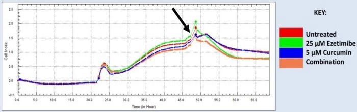 Real-time cell proliferation analysis of HCT116 cells treated with Ezetimibe and Curcumin. Real-time cell proliferation analysis of HCT116 cells treated with Ezetimibe and Curcumin. Arrow indicated addition of drug treatments