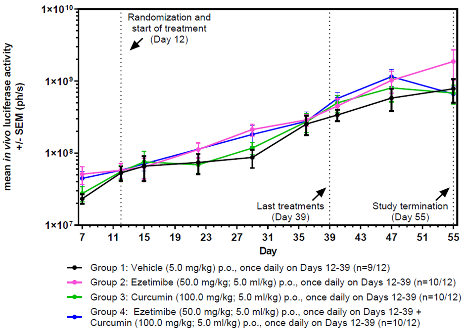 In vivo luciferase activities in Female NMRI nude mice. All NMRI nude mice implanted orthotopically (caecum) with human HCT-116_Luc colon carcinoma tumour cells showing an increase in in vivo luciferase activity over 55 days. Treatment started on day 12 days post implantation and terminated on day 39 (27 days treatment).