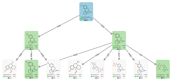 Predicted human metabolism network for dextromethorphan (cyan card), before (top) and after (bottom) applying heuristics to assess the most likely metabolites. Use of heuristics increased the precision from 4 % to 40 % without impacting the sensitivity of 100 %. Known experimental metabolites are shown in green cards