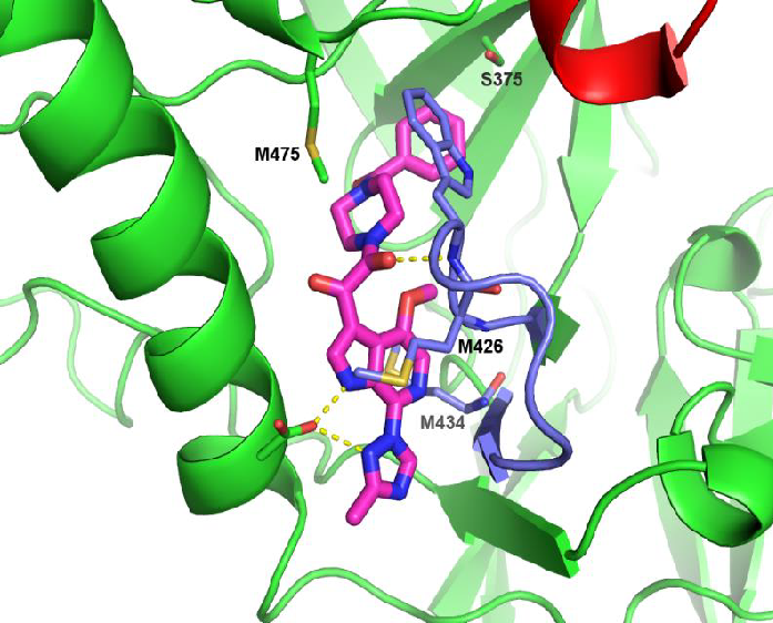 Co-crystal Structure of Temsavir Bound to gp1205