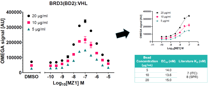 Enhancing therapeutic potential with bivalent molecules