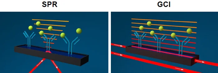 Enhancing therapeutic potential with bivalent molecules
