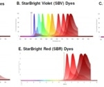 Enhancing flow cytometry data with stable StarBright dyes