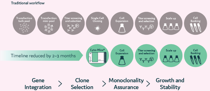 Traditional CLD processes are time-consuming. Cyto-Mine® reduces time and increases success rates. At a single cell level, the clones are selected based on their productivity. Selected single cells are dispensed into microplates with image assurance on their monoclonality. Cells dispensed into microplates can be monitored for growth over time