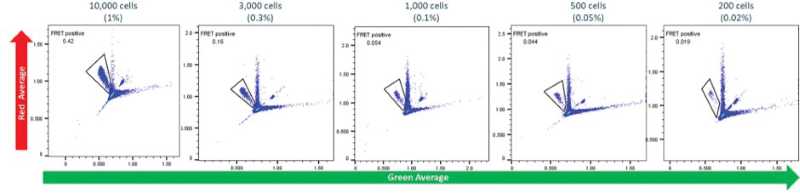 High sensitivity isolation of rare single cells based on their antigen specificity