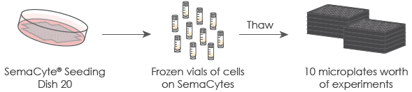 SemaCyte® cell assay workflow