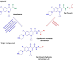 Novel fluoroquinolone analogs as anticancer agents