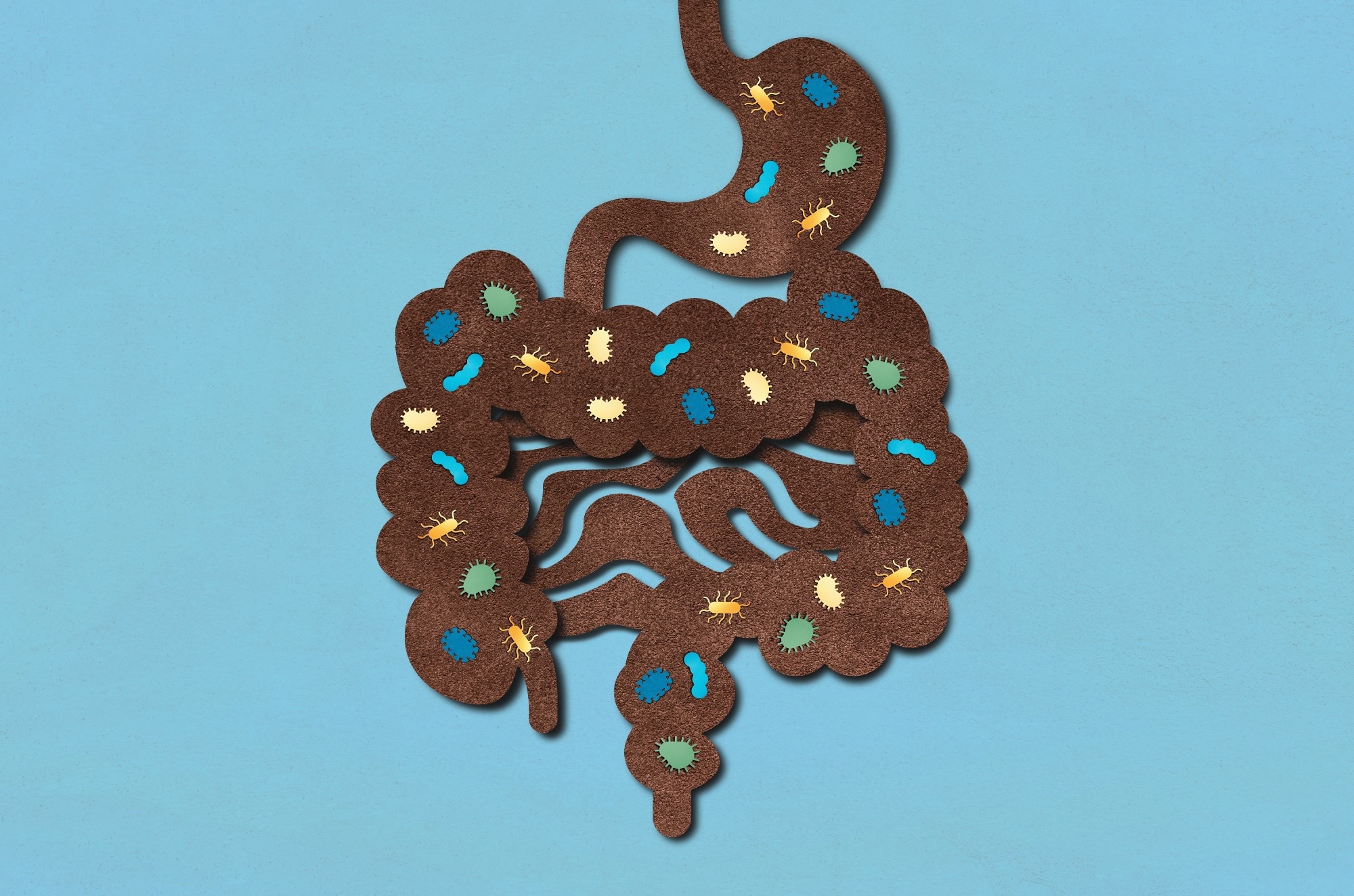 Microorganisms that Live in the Human Gastrointestinal Tract.