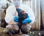 Could Bird Flu Be the Next Global Pandemic?
