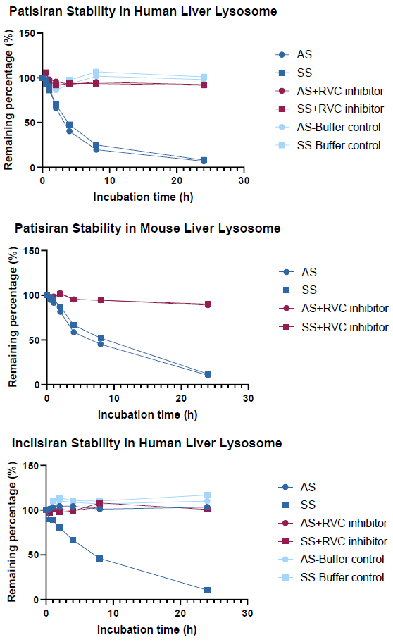 How oligonucleotide drugs withstand lysosomal nuclease activity