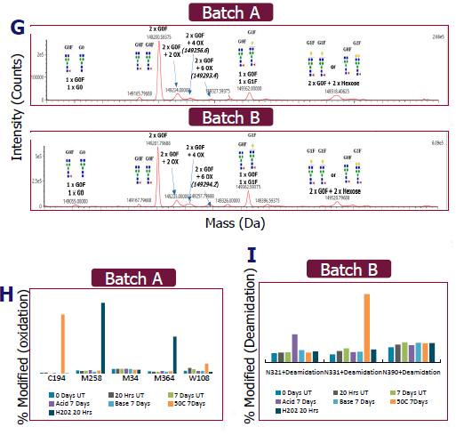 Building a comprehensive analytical toolbox for mAb CQA assessment