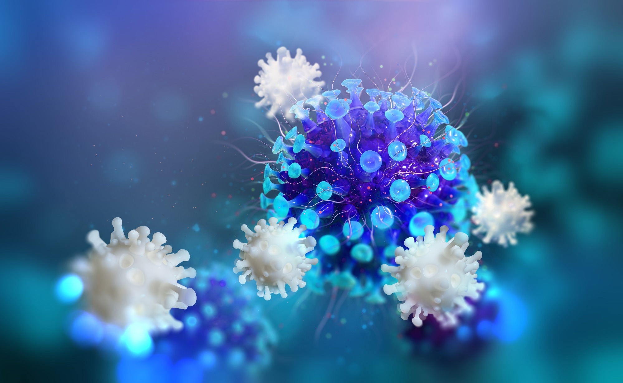 White blood cells attack infected cells. Image Credit: Yurchanka Siarhei / Shutterstock