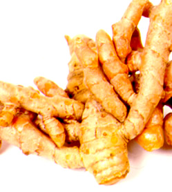 Turmeric (Curcuma longa, also known as tumeric or curcumin) is a spice commonly used in curries and other south Asian cooking. It is a significant ingredient in most commercial curry powders. Turmeric is also used to give a yellow color to some prepared mustards, canned chicken broth, and other foods, and is also used as a fabric dye.