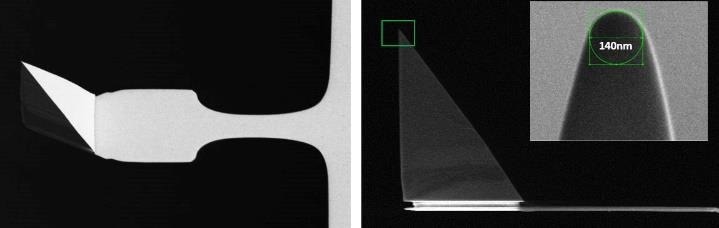 How AFM investigates Viruses