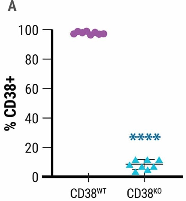 NK cell engineering with MaxCyte®