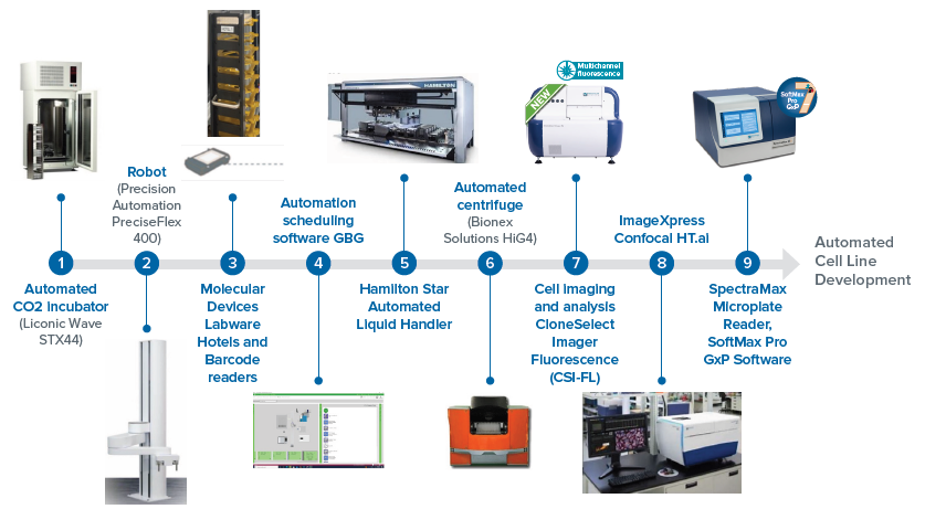 Workflow steps involved in a cell line development and integrated automated system for a CRISPR-edited cells/organoid screening—disease modeling. Includes various instruments and automation of different steps: the screening, and monitoring for cellular monoclonality being the most critical (performed by CSI-FL) and potential applications.