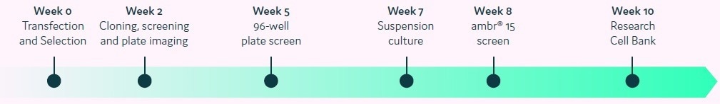 Optimizing cell line development processes with Cyto-Mine®