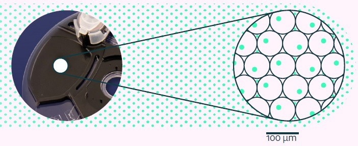 Screening and isolating rare cells with assured clonality
