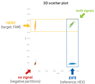 An example of how copy number is calculated using a 2-plex assay. In the 2D scatter plot (one way of visualizing the data from the Analyzer), each dot represents a detection event. The analysis software calculates the absolute number of incidents of each signal, and then a ratio is calculated to provide the copy number of the target