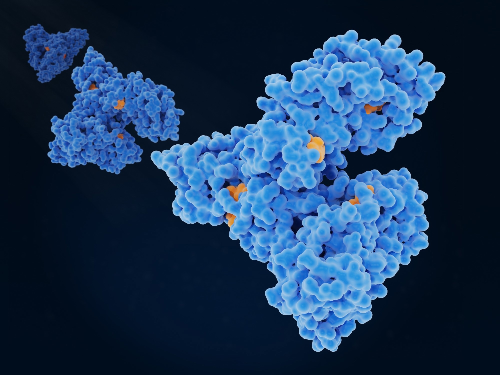 Image Credit: Juan Gaertner/Shutterstock