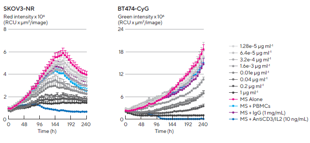 Kinetic quantification of ADCC immune cell killing of HER-2 positive multi-spheroids. Tumor cells were seeded in flat bottom 96-well plates (1,000 cells/well on a bed of Matrigel) and allowed to form multi-spheroids (MS) for 3 d. Once formed, MS were co-cultured with freshly isolated PBMCs (E:T, 5:1) and treated with serial dilutions of Herceptin. Time-courses show multi-spheroid death quantified as a loss of fluorescence intensity within the spheroid brightfield object. Concentration response curves to Herceptin show sensitivity differences between HER2-positive multi-spheroids (SKOV3 and BT-474). Treatments targeting T cell populations (Anti-CD3 and IL-2, 10 ng/mL) induced maximal MS cytotoxicity across all cell types. Data were collected over 10 d at 6 h intervals. Each data point represents mean ± SEM,