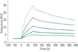 Captured anti-GPRC5D antibody on anti-Human IgG Fc via CM5 Chip binds the Human GPRC5D-Nanodisc Protein (His & FLAG Tag) with an affinity constant of 9.609 nM, as determined by SPR (Biacore T200).